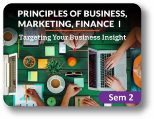  Principles of Business, Marketing, Finance Semester 2: Targeting Your Business Insight